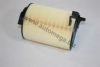 AUTOMEGA 1012906201F0 Air Filter